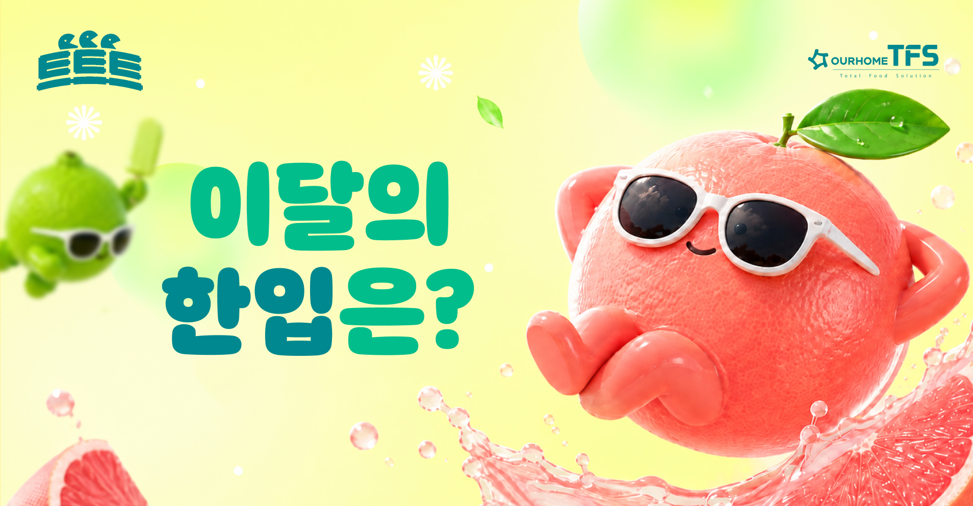8월 트트트 