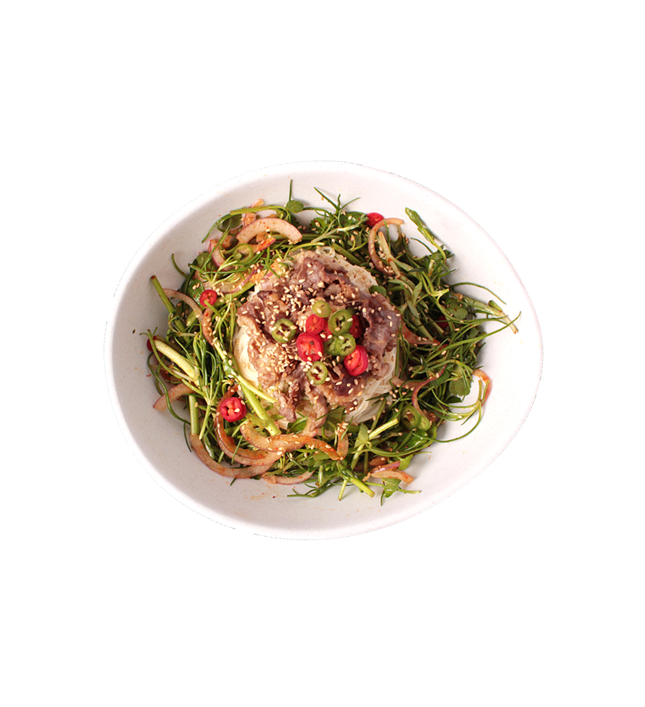 봄나물차돌간장비빔국수